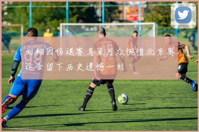 刘翔因伤退赛鸟巢万众惋惜北京奥运会留下历史遗憾一刻